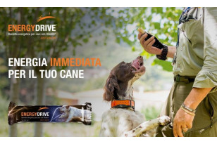 CANICOM BARRETTA ENERGY DRIVE 2