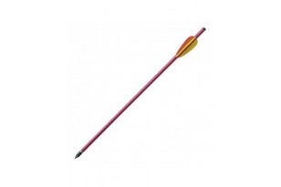 BLISTER 6 PZ DARDI IN...