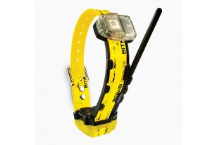 BTB 5200 MITO RADIO COLLARE...