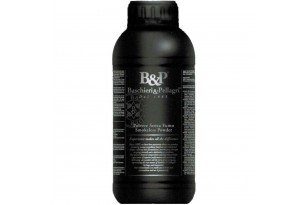 BASCHIERI & PELLAGRI M410...