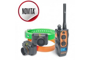 DOGTRA 2602 T&B