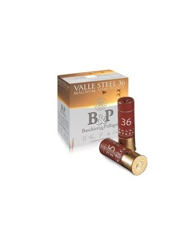 BASCHIERI & PELLAGRI VALLE STEEL 36...