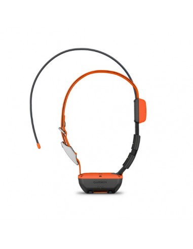 GARMIN COLLARE T20 K