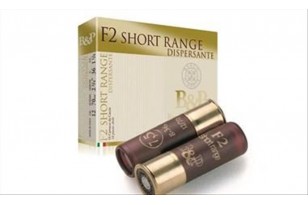 BASCHIERI & PELLAGRI F2...