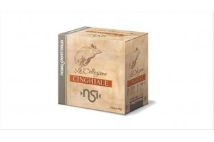 NOBEL SPORT ITALIA...