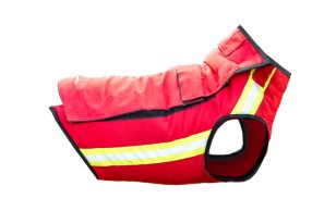 CANICOM GILET ANTIZANNA...