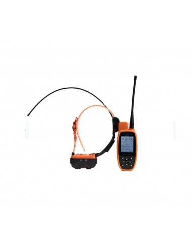 CANICOM GPS 2 PALMARE + COLLARE  +...