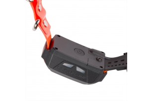 CANICOM GPS 2 PALMARE +... 2