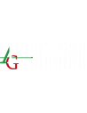 ALG MUNIZIONI